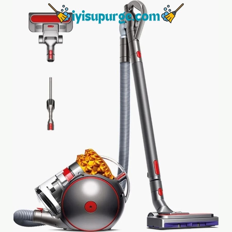 Dyson Big Ball Absolute 2