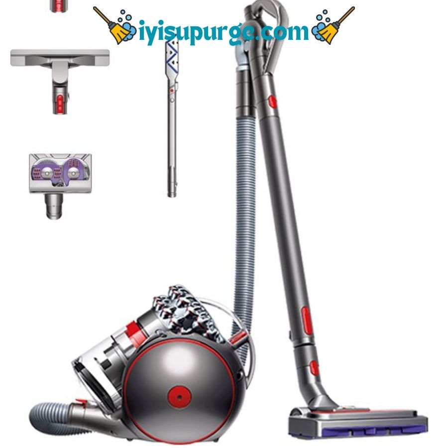 Dyson Cinetic Big Ball Absolute 2